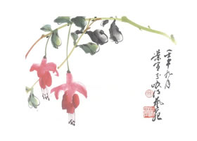 吊鐘海棠寫意畫法
