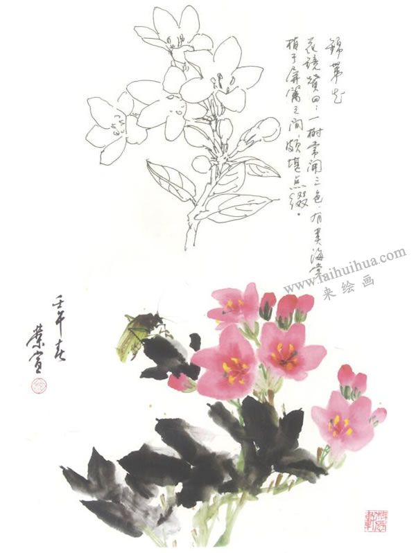 錦帶花寫意畫法