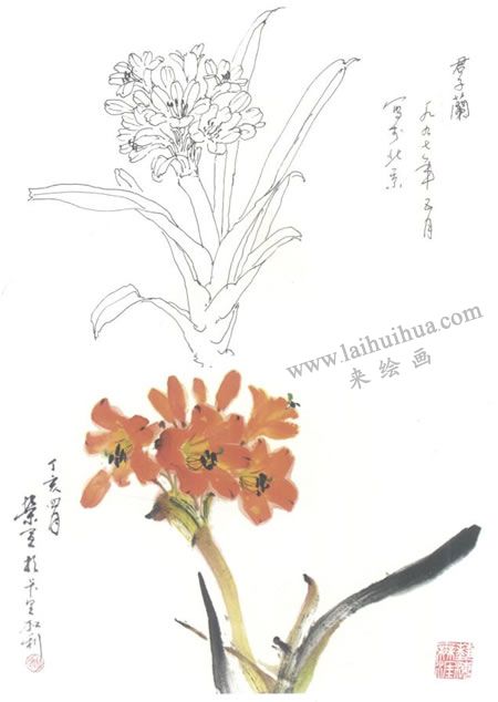 君子蘭寫意畫法