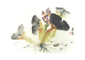 鳳眼蓮寫意畫法