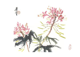 醉蝶花寫意畫法