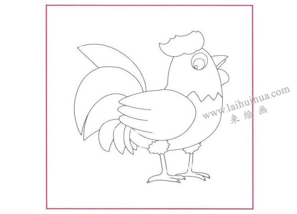 大公雞兒童線描畫法步驟01