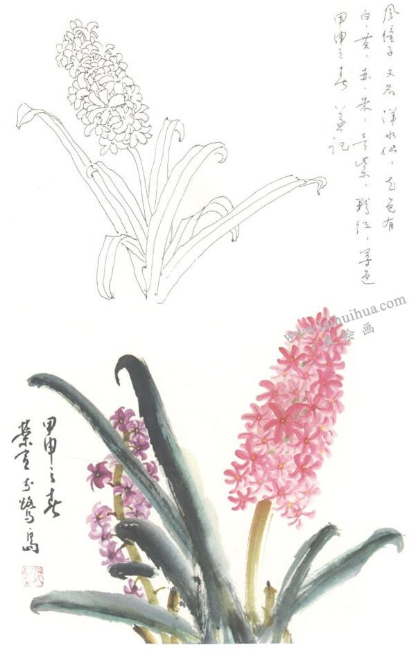 風信子寫意畫法