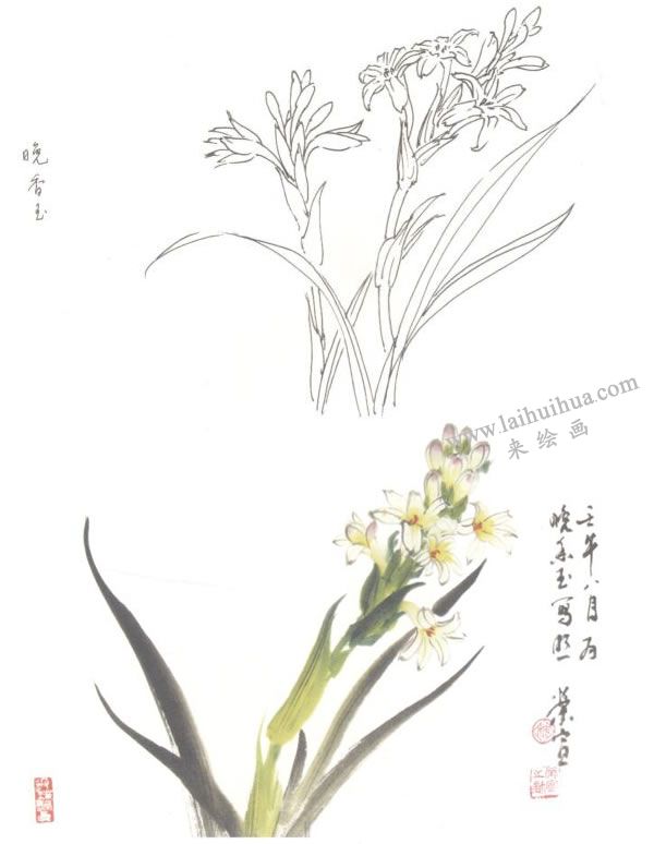 晚香玉寫意畫法