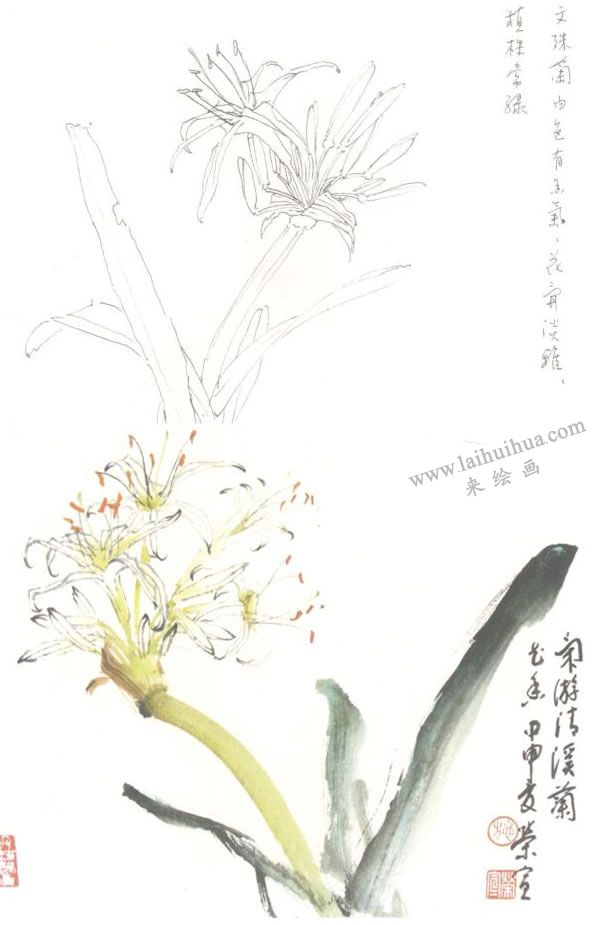 文殊蘭寫意畫法