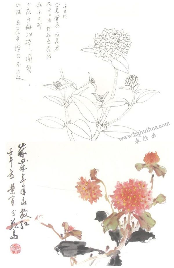 千日紅寫意畫法