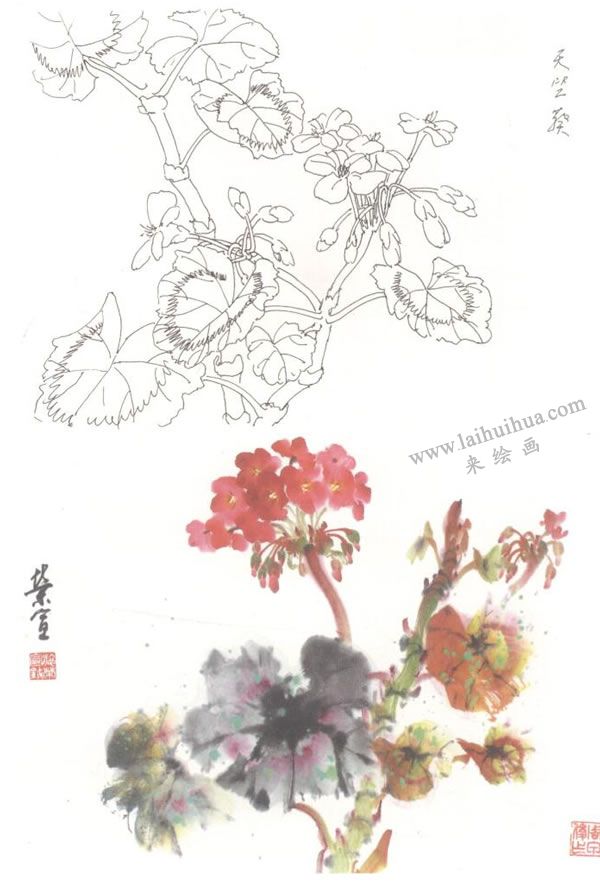 天竺葵寫意畫法