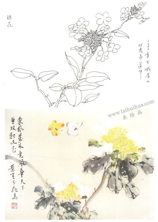 瓊花寫意畫法