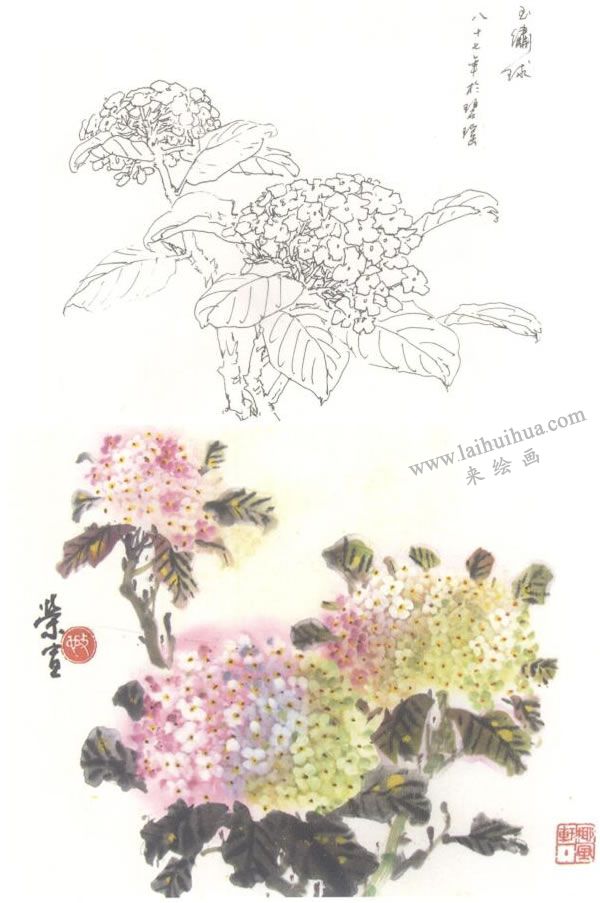 繡球花寫意畫法