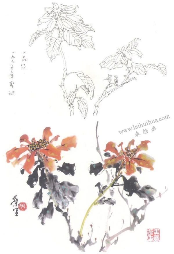 一品紅寫意畫法