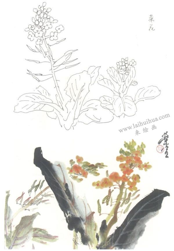 菜花寫意畫法