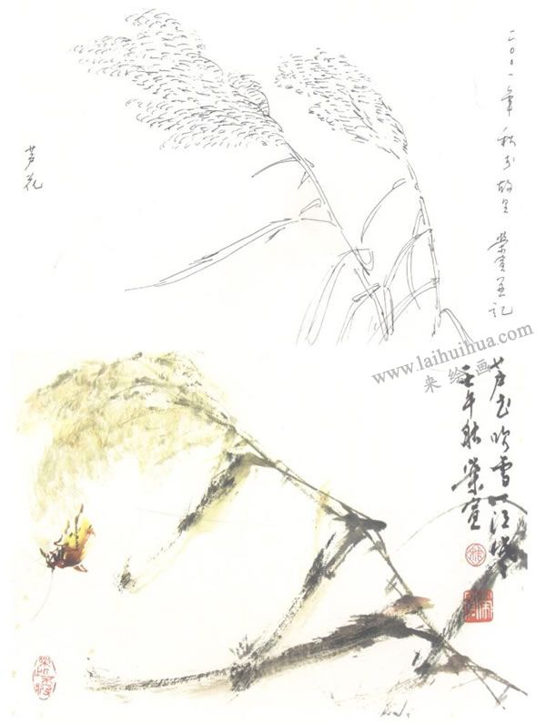 蘆花寫意畫法