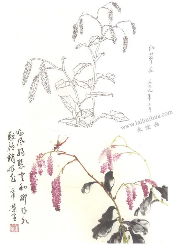 紅蓼花寫意畫法