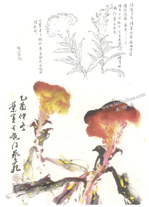 雞冠花寫意畫法