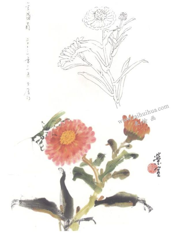 金盞花寫意畫法