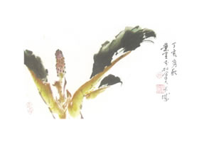 萬年青寫意畫法