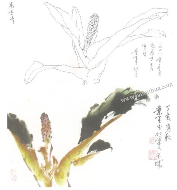 萬年青寫意畫法