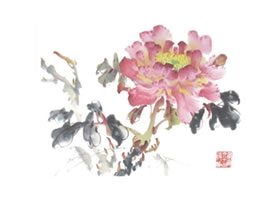 牡丹的寫意畫法（二）