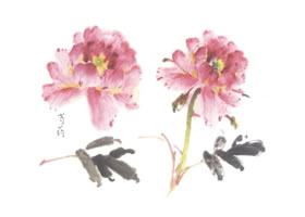 芍藥寫(xiě)意畫(huà)法（一）