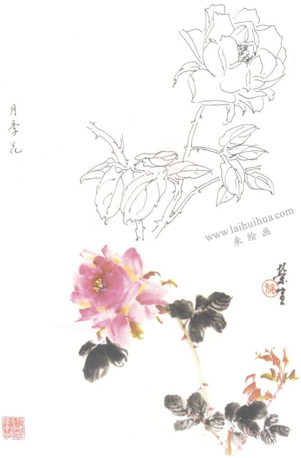 月季寫意畫法