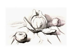 結(jié)構(gòu)素描表現(xiàn)步驟