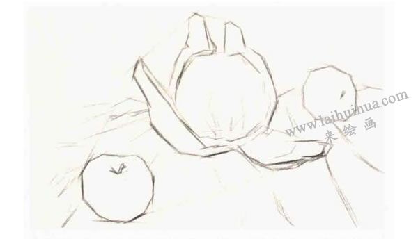 結(jié)構(gòu)素描表現(xiàn)步驟：具體形體階段