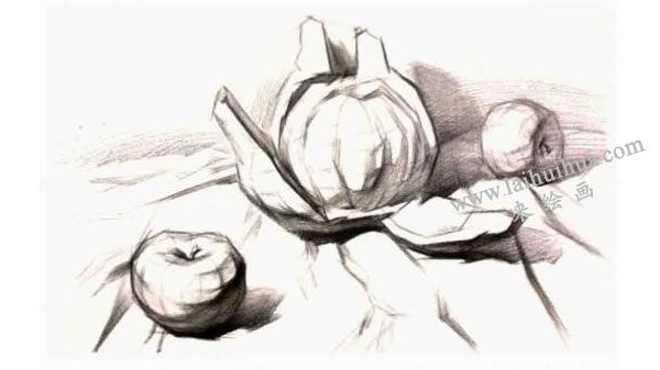 結(jié)構(gòu)素描表現(xiàn)步驟：調(diào)整階段