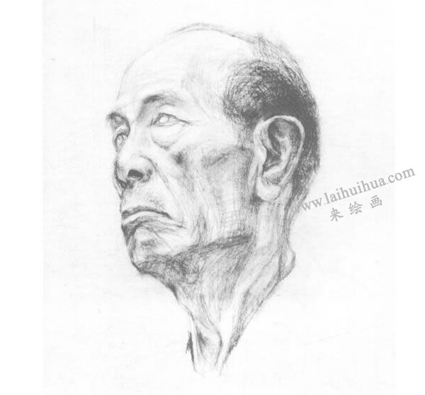 《老者頭像》素描畫法步驟03