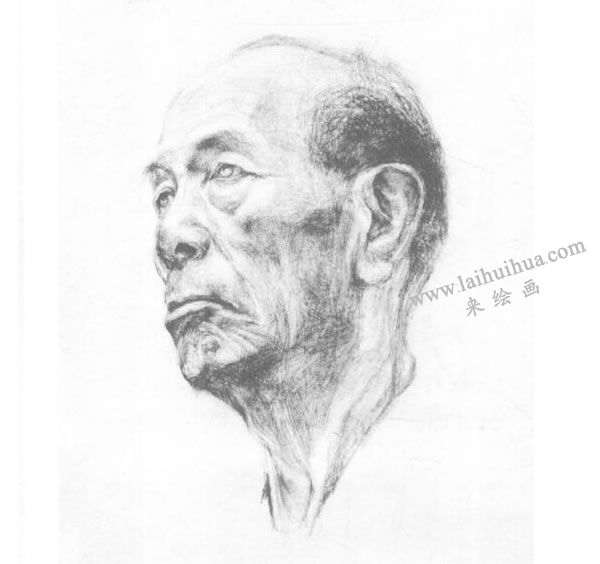 《老者頭像》素描畫法步驟04