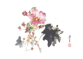 芙蓉花的寫意畫法（二）