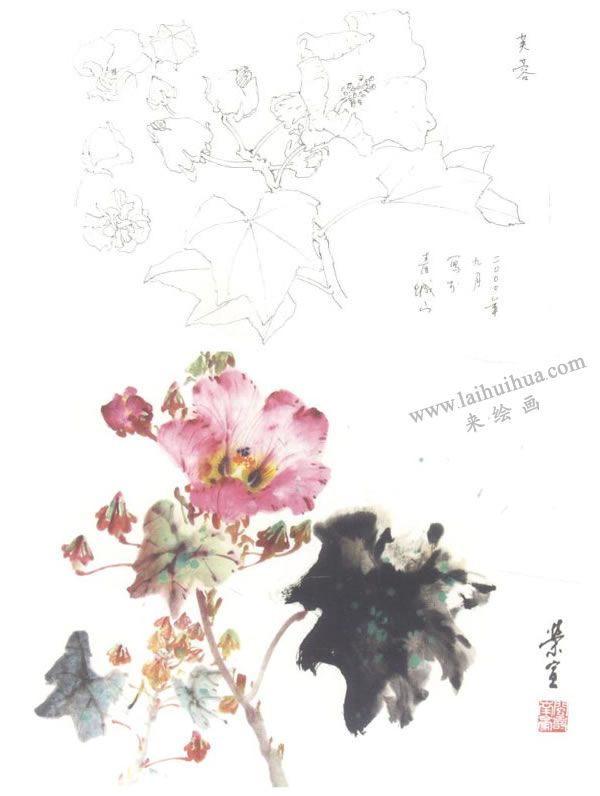 芙蓉花寫意畫法