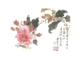 木槿寫意畫法