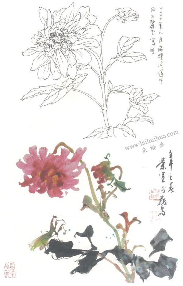 大麗花寫意畫法