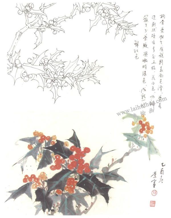 枸骨寫意畫法
