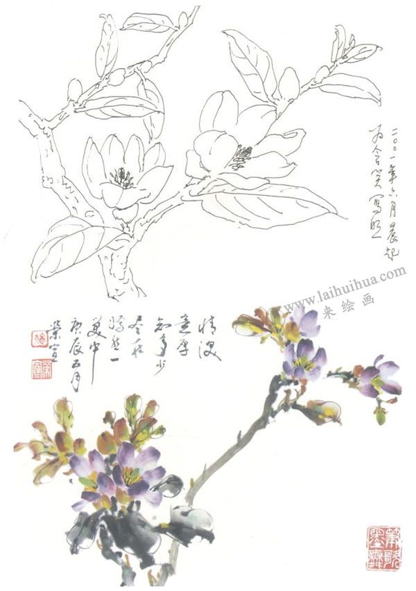 含笑花寫意畫法