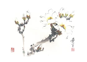 玉蘭寫意畫法