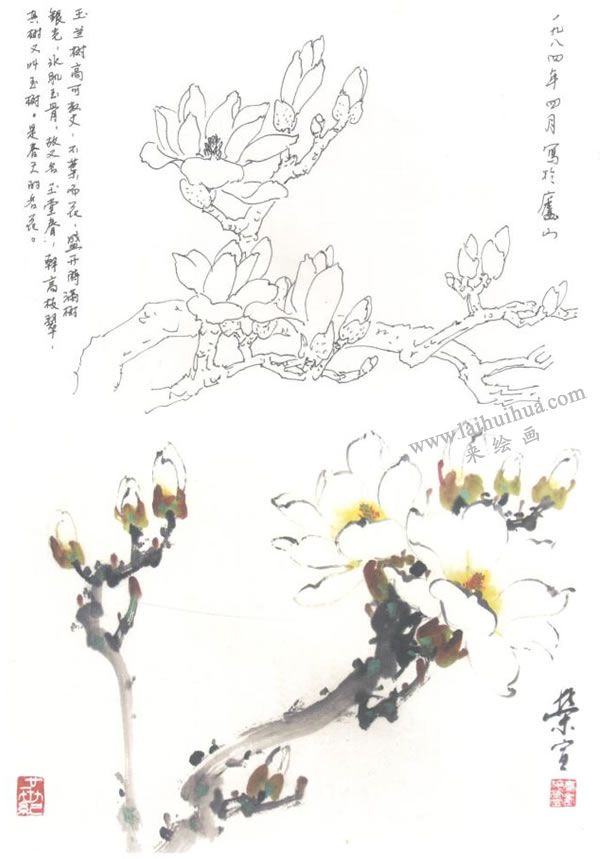 玉蘭寫意畫法