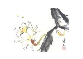 曇花寫意畫法
