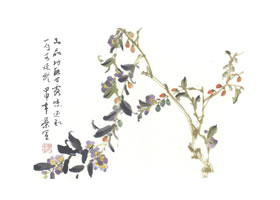 枸杞寫意畫法