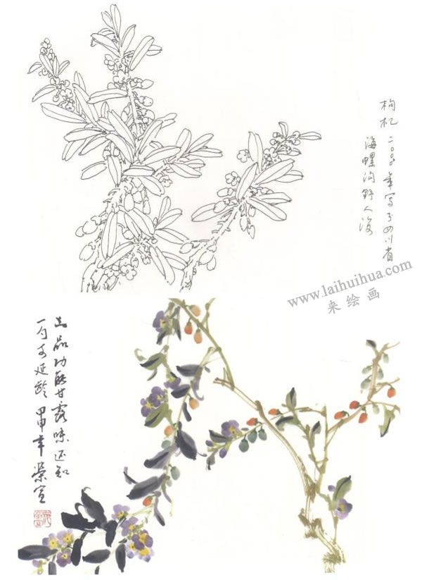 枸杞寫意畫法