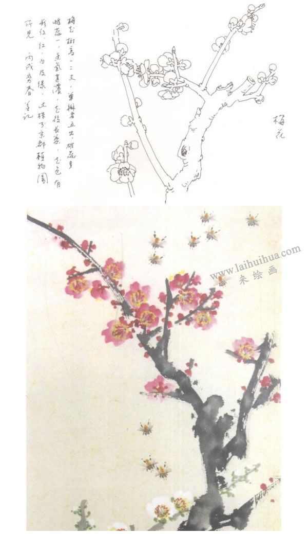 梅花的寫意畫(huà)法