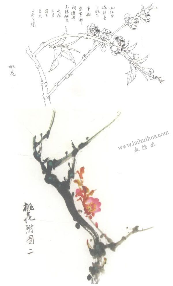 桃花的寫意畫法