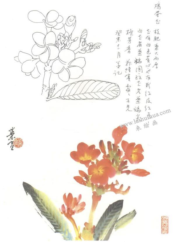雞蛋花寫意畫法