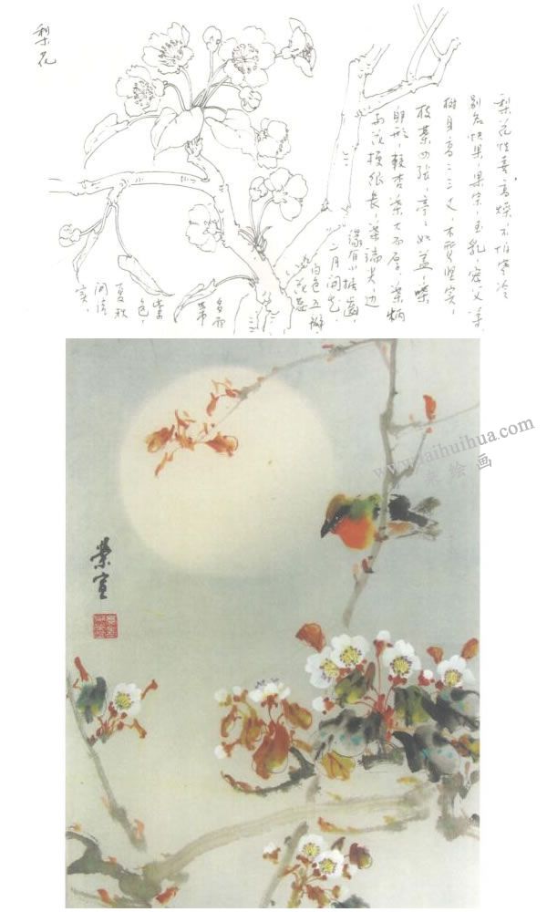 梨花的寫意畫法