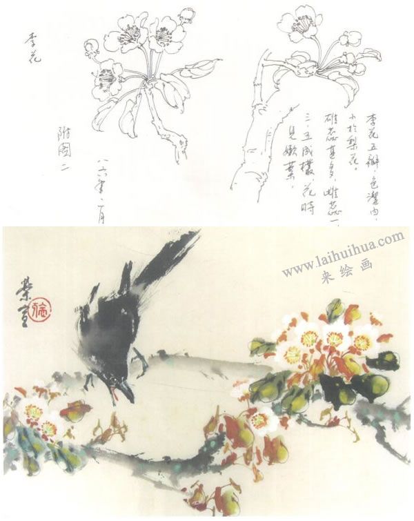 李樹（李花）寫意畫法