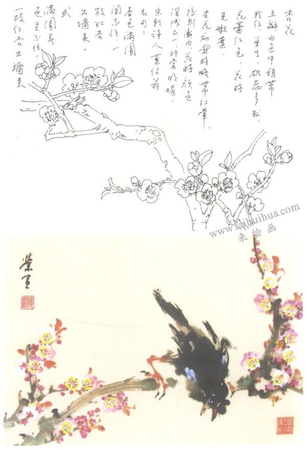杏花的寫(xiě)意畫(huà)法