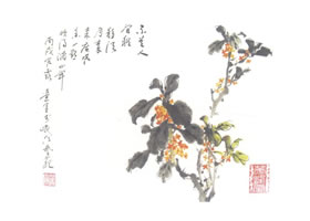 桂花寫意畫法