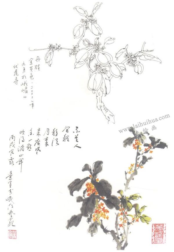 桂花寫意畫法