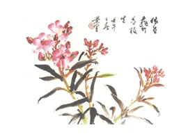 夾竹桃寫意畫法