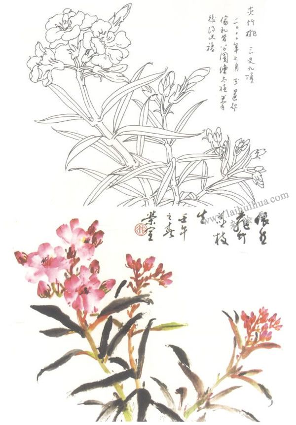 夾竹桃寫意畫法